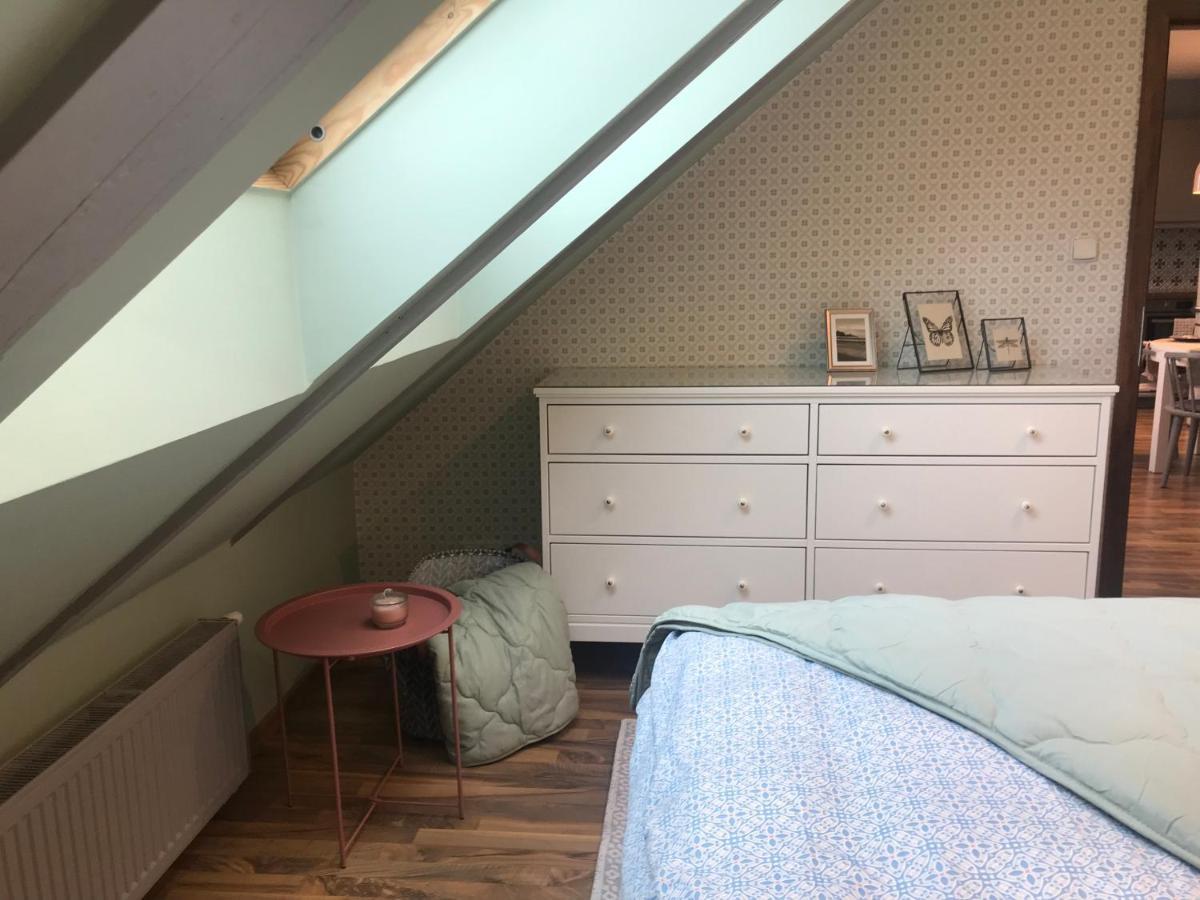 Attic Apartment On Waterfront / View / Netflix Praga Exterior foto